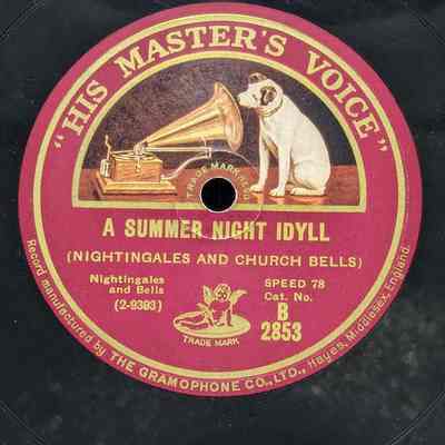 A Summer Night Idyll