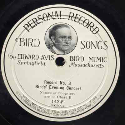 Bird's Evening Concert