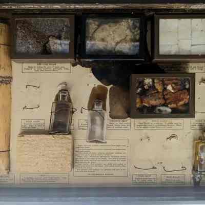 Drawer of Sugar Cane