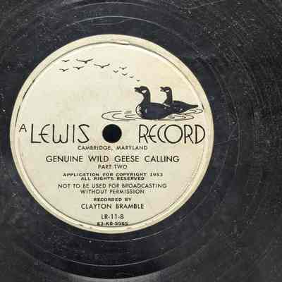 Genuine Wild Geese Calling - Part 2