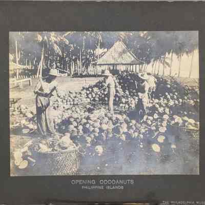 Opening Cocoanuts
