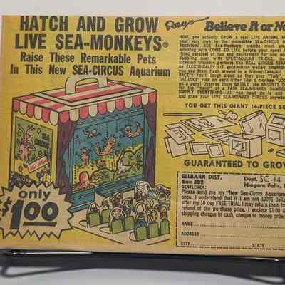 Sea Circus Aquarium Clipping
