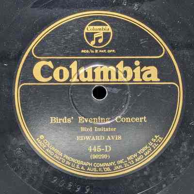 Birds' Evening Concert
