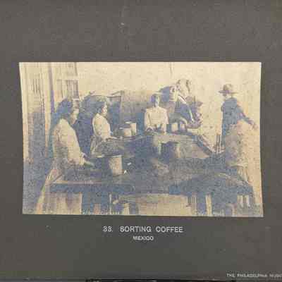 Sorting Coffee