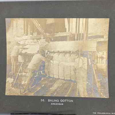 Baling Cotton