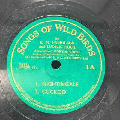 Songs of Wild Birds -- Nightingale, cuckoo