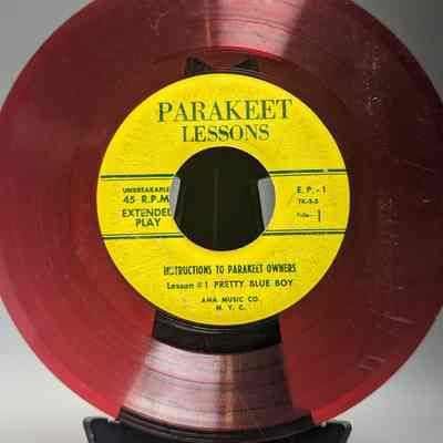 Parakeet Lessons - Salty Phrases