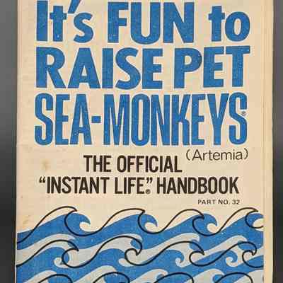 It's FUN to Raise Pet Sea-Monkeys : The Official "Instant Life" Handbook