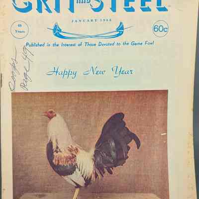Grit and Steel - Volume 69, Number 9