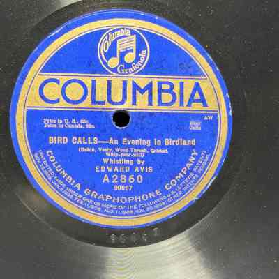 Bird Calls - and evening in birdland