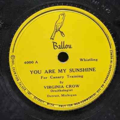 You Are My Sunshine (for canary training)