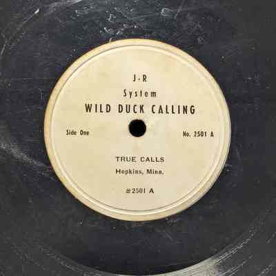 Wild duck calling, True calls