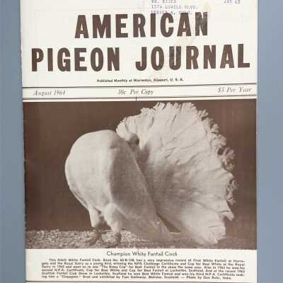American Pigeon Journal