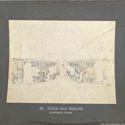 Steam Silk Reeling