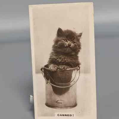 De Reszke Cigarette Card : Canned
