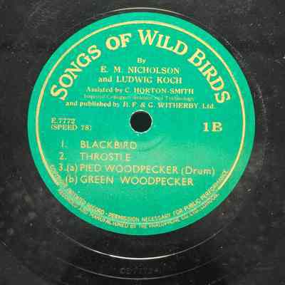 Songs of Wild Birds -- Blackbird, Throstle, Pied Woodpecker, Green woodpecker