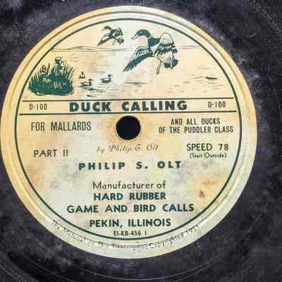 Duck Calling for Mallards, Part 2