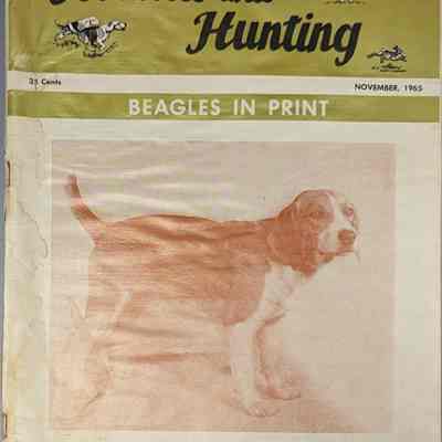 Hounds and Hunting - Volume 62 , Number 11