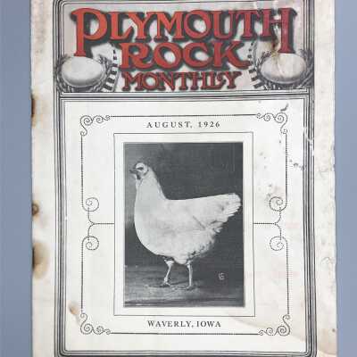 Plymouth Rock Monthly - Volume 38, Number 12