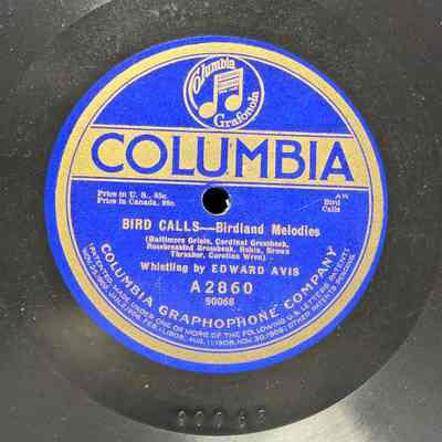Bird Calls - birdland Melodies