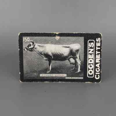 Ogden Cigarette cards: Tuddies Queen