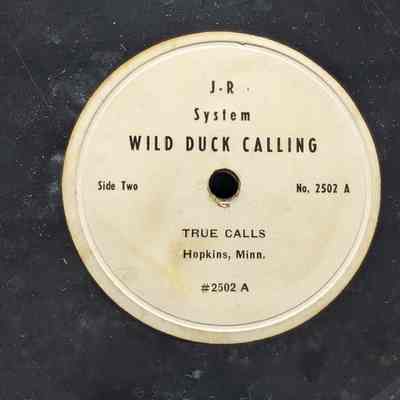 Wild duck calling, True calls