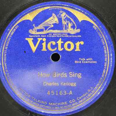 How Birds Sing