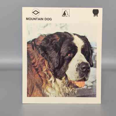Wildlife Treasury: Mountain Dog