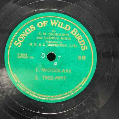 Songs or Wild Birds -- Woodlark and Tree Pipit