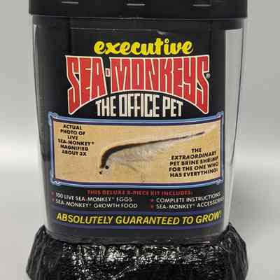 Executive Sea-Monkeys : The Office Pet