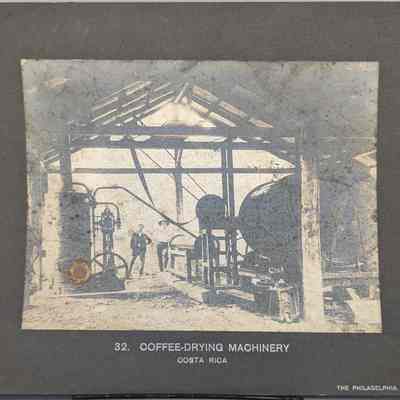Coffee-Drying Machinery