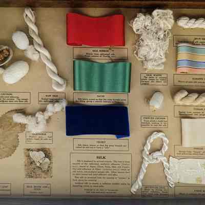 Drawer of Silk Specimen