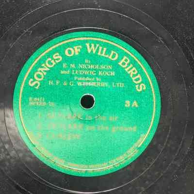 Songs of Wild Birds - Skylark in the air, Skylark on the ground, Curlew