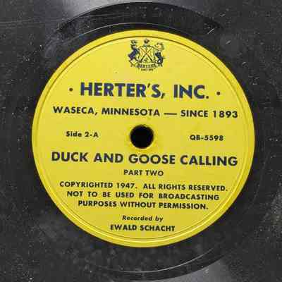 Duck and goose calling