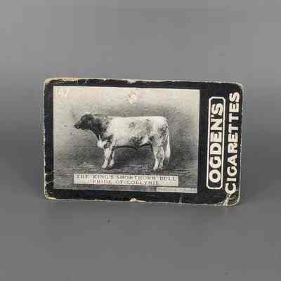 Ogden Cigarette card : Pride of Collynie