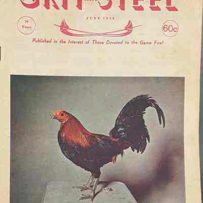 Grit and Steel - Volume 70, Number 2