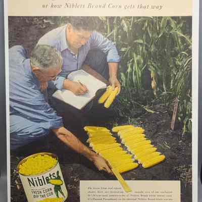 "Eugenics in a Cornfield" Ad for Niblets brand whole kernel corn