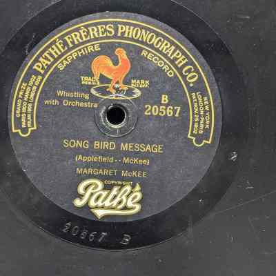 Song Bird Message