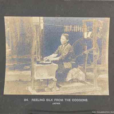 Reeling Silk From The Cocoons