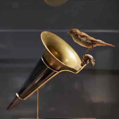 Nightingale