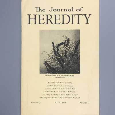 The Journal of Heredity - Volume 27, Number 7