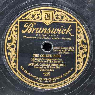 The Golden Bird