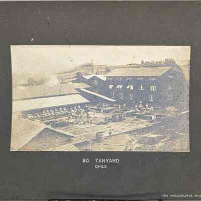 Tanyard