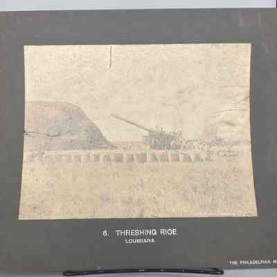 Threshing Rice