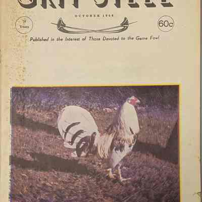 Grit and Steel - Volume 70, Number 6