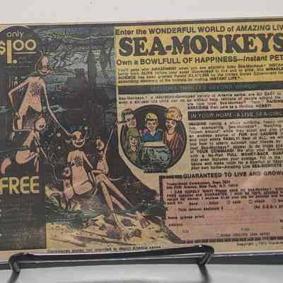 Sea Monkeys Clipping