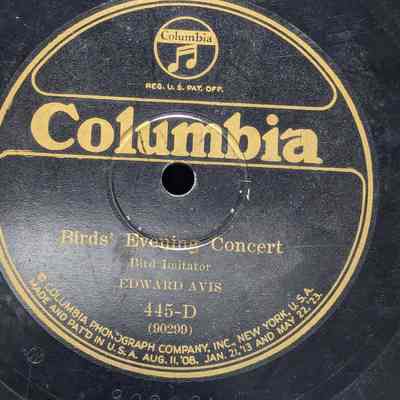 Birds' Evening Concert