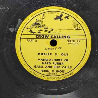 Crow Calling