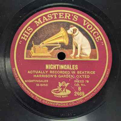 Nightingales