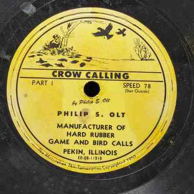 Crow Calling
